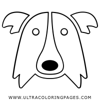 border-collie Coloring Page